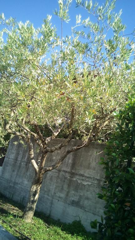 شقة Salionze  في Casa Vacanze I Borghi المظهر الخارجي الصورة